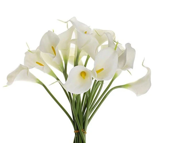 Yapay Çiçek Islak Gala Gerçeksi Eva Malzeme Cala Flower 8li BEYAZ ürün görseli 1