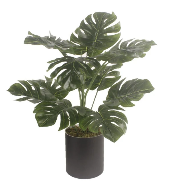Nettenevime Yapay Çiçek Monstera Deve Tabanı Siyah Saksılı Salon Çiçeği 15 Yaprak ürün görseli 1