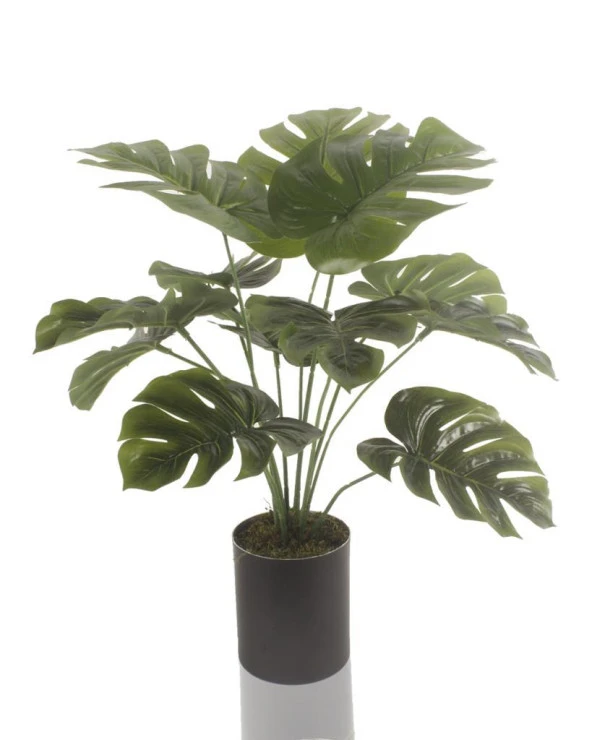 Nettenevime Yapay Çiçek Monstera Deve Tabanı Siyah Saksılı Salon Çiçeği 12 Yaprak ürün görseli 1