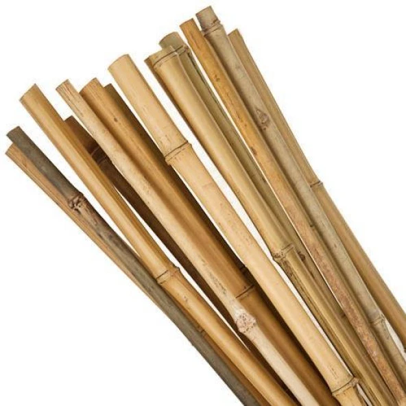 Bambu Sopası 180 cm 16 -18mm Bambu Çubuğu 5 ADET ürün görseli 1