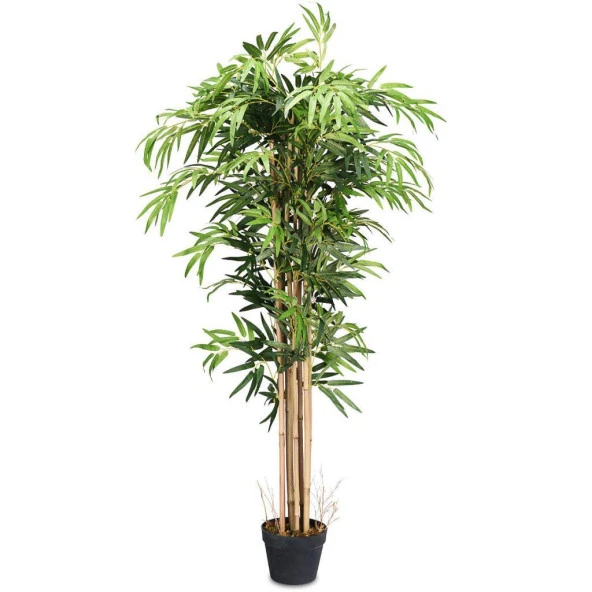 Nettenevime Yapay Bambu Ağacı Ekstra Doğal Görünüm Siyah Saksılı 6 dallı 200cm ürün görseli 1