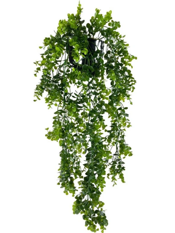 Nettenevime Yapay Çiçek Saksıda Sarkan Şimşir Okaliptus Yapay Sarmaşık 60cm ürün görseli 1