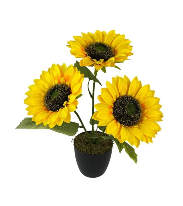 Nettenevime Yapay Çiçek Siyah Saksıda Ay Çiçeği 3Kafa 38cm ürün görseli 1
