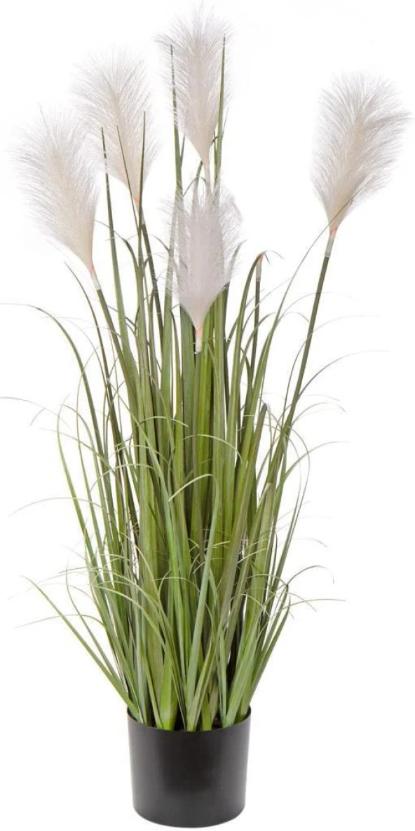 Nettenevime Yapay Çiçek Beyaz Püskül Grass Panpas Saz Siyah Aleminyum Saksıda ürün görseli 1