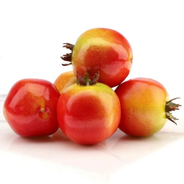 Nettenevime Yapay NAR 6 lı Paket  Yapay Meyve ürün görseli 1
