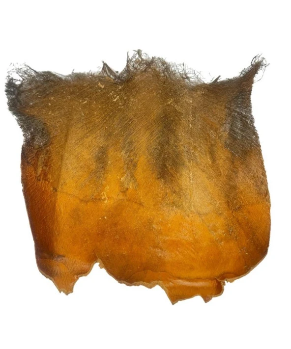 Nettenevime Kurutulmuş Palmiye Ağacı Kabuğu Lifi Natural Ağaç Gövdesi Kokos ürün görseli 1