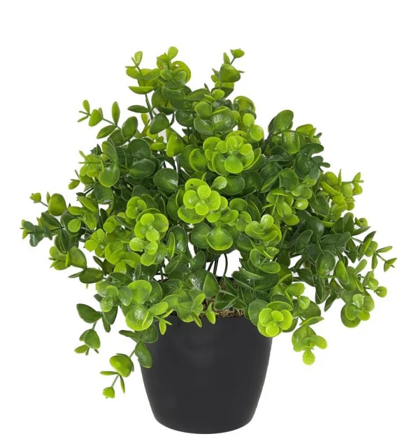 Nettenevime Yapay Çiçek Şimşir Eucalyptus Yapay Bitki Siyah Plastik Saksılı Dekoratif Süs Çiçeği ürün görseli 1