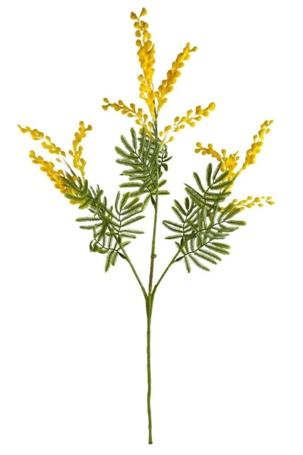Nettenevime Yapay Çiçek Sarı Mimoza Uzun Dal 75cm 3Dallı Minosa Yapay Bitki ürün görseli 1