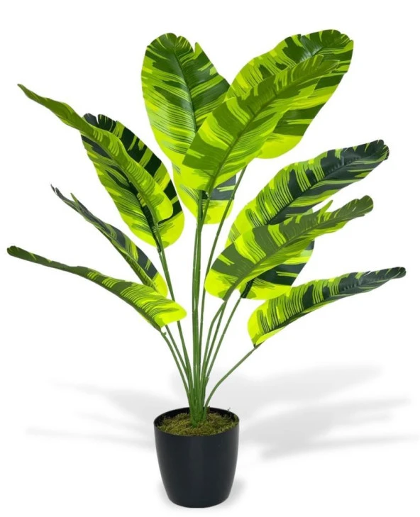 Nettenevime Yapay Çiçek Saksıda Muz Desenli Yapraklı 12Dal 60cm Salon Çiçeği Yapay Bitki ürün görseli 1