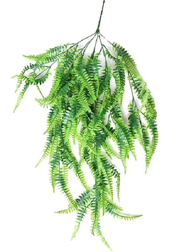 Nettenevime Yapay Çiçek Sarkan Boston Fern Yapay Sarmaşık ty70 Yeşil ürün görseli 1