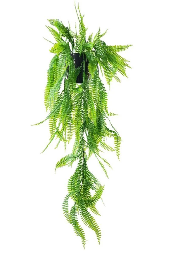 Nettenevime Yapay Çiçek Siyah Saksıda Sarkan Çiçek Boston Fern ürün görseli 1