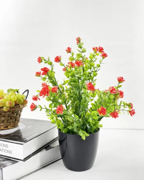 Nettenevime Yapay Çiçek Siyah Saksıda Kırmızı Mineli Şimşir Büyük Boy 33x25 cm ürün görseli 1