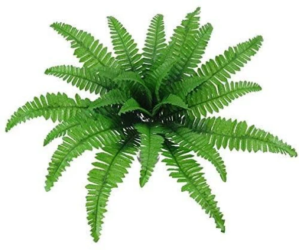 Nettenevime Yapay Çiçek Aşk Merdiveni Açık Yeşil Eğrelti Otu Bitkisi 24 Yaprak 55cm Yapay Bitki ürün görseli 1