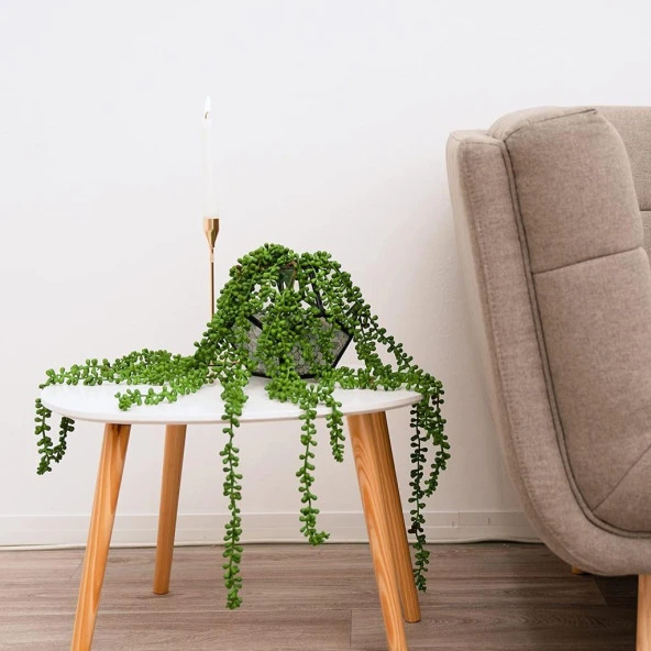 Nettenevime Yapay Çiçek Sarkan String Okaliptus 70cm 3dal - Resim 6