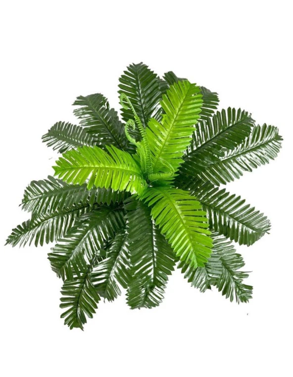 Nettenevime Yapay Çiçek Cycas Aşk Merdiveni Eğrelti Otu Sıkas Bitkisi 24 Yaprak 45*60 cm Yapay Bitki ürün görseli 1