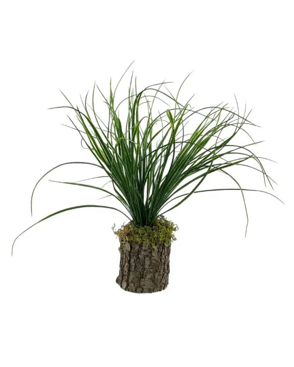 Nettenevime Yapay Çiçek Kütük Saksıda Saz Otu 35cm  Dekoratif Masa Çiçeği 40*20cm ürün görseli 1