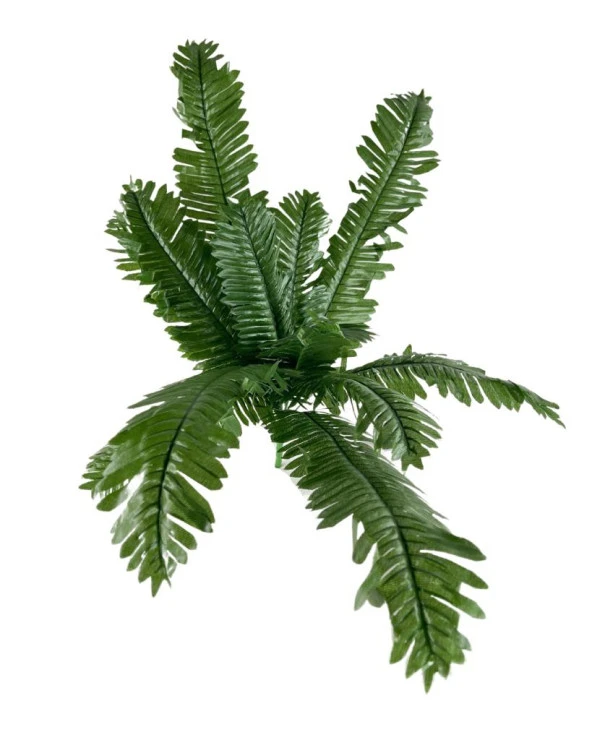 Nettenevime Yapay Çiçek 12 Yaprak Cycas Aşk Merdiveni Eğrelti Otu Sıkas Bitkisi 45*50cm Yapay Bitki ürün görseli 1