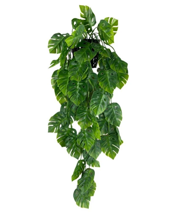 Nettenevime Yapay Çiçek Saksıda Sarkan Monstera Deve Tabanı Yapay Sarmaşık Pastel 60cm ürün görseli 1