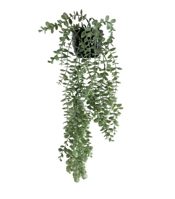 Nettenevime Yapay Çiçek Saksıda Sarkan Şimşir Mat Pastel Okaliptus Yapay Sarmaşık Pastel 70cm ürün görseli 1