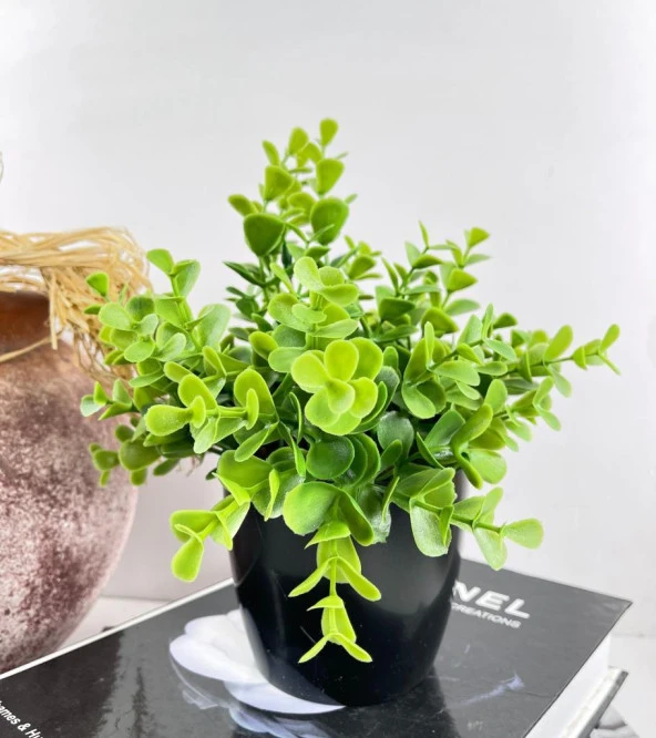 Nettenevime Yapay Çiçek Yeşil Renk Şimşir Siyah Saksıda Siyah Plastik Saksılı Dekoratif Süs Çiçeği ürün görseli 1
