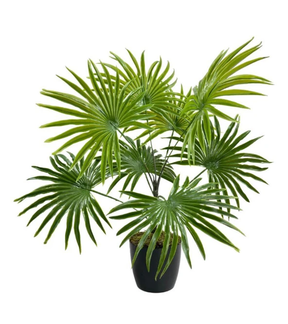 Nettenevime Yapay Çiçek Yelpaze Palmiye 8 Dal 50*40cm Salon Çiçeği Plastik Siyah Saksılı Yapay Bitki ürün görseli 1