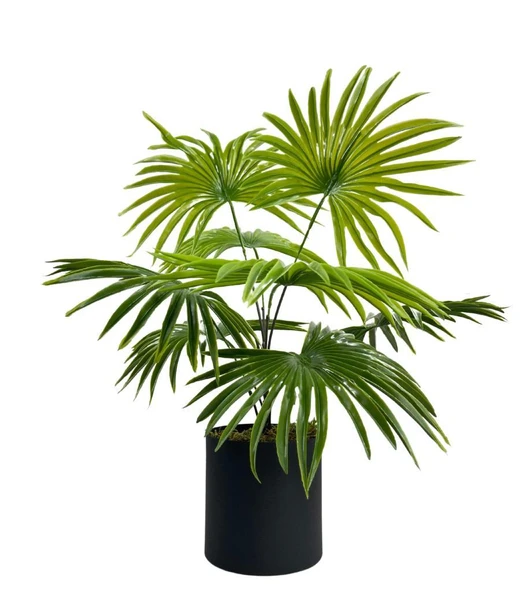 Nettenevime Yapay Çiçek Yelpaze Palmiye 8 Dal 50*40cm Salon Çiçeği Metal Mat Siyah Saksılı Yapay Bitki ürün görseli 1