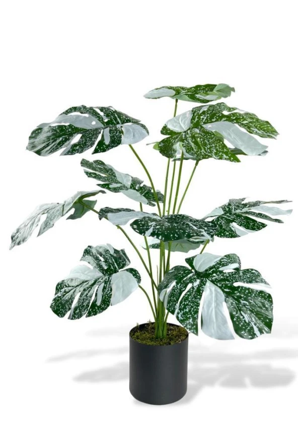 Nettenevime Yapay Çiçek Saksıda Monstera Yeşil Beyaz Deve Tabanı 12Dal 70cm Salon Çiçeği Yapay Bitki ürün görseli 1