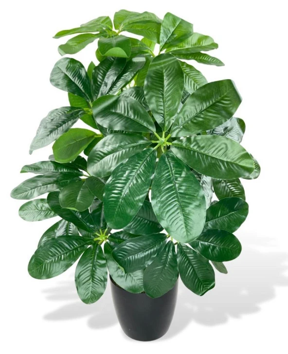 Nettenevime Yapay Çiçek Saksıda Şeflera Bitkisi 18Dal 75cm Salon Çiçeği Yapay Bitki Pachira Macrocarpa ürün görseli 1