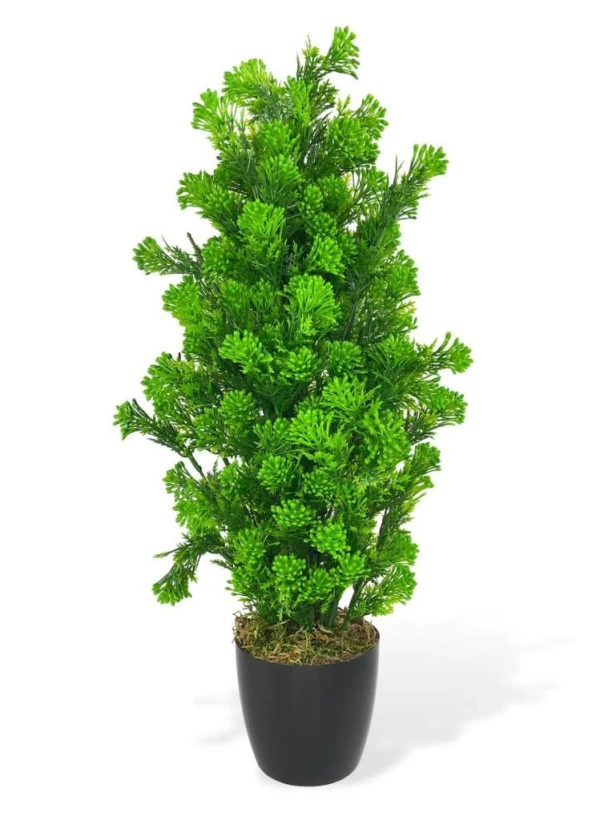 Nettenevime Yapay Çiçek Siyah Saksıda Yeşil Tohumlu Ponpon Selvi Ağacı 55cm ürün görseli 1