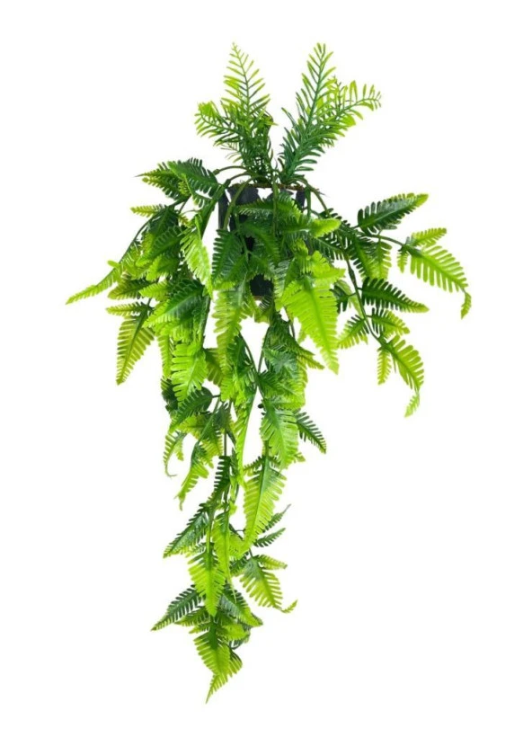Nettenevime Yapay Çiçek Sarkan Boston Fern Yapraklı Bitki Küçük Siyah Saksıda Yapay Sarmaşık 55cm ürün görseli 1