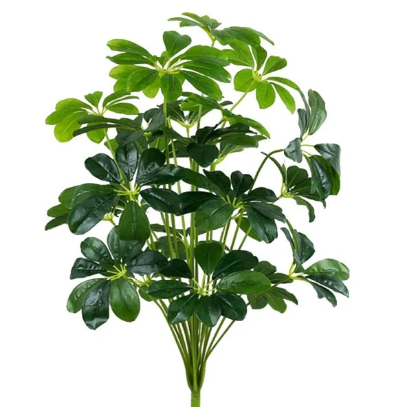 Nettenevime Yapay Çiçek Demet Şeflera Bitkisi 18Dal 75cm Salon Çiçeği Yapay Bitki Pachira Macrocarpa ürün görseli 1