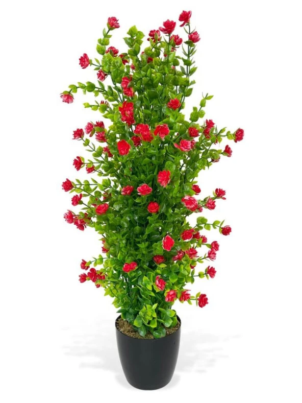 Nettenevime Yapay Çiçek Siyah Saksıda Kırmızı Mineli Şimşir Ağacı 55cm ürün görseli 1