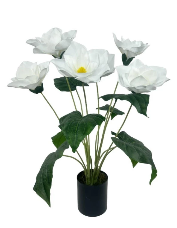 Nettenevime Yapay Çiçek Islak Manolya Çiçeği 6 Çiçekli 65cm Siyah Saksıda  Salon Çiçeği ürün görseli 1