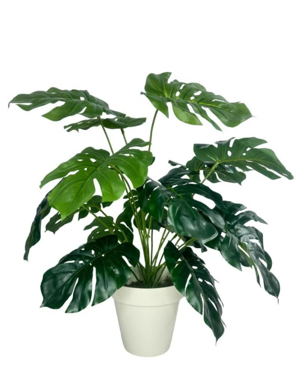 Nettenevime Yapay Çiçek Monstera Salon Çiçeği 50cm Beyaz Saksılı Yapay Bitki ürün görseli 1