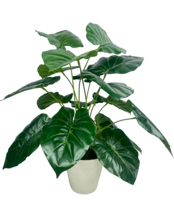 Nettenevime Yapay Çiçek Difenbahya Yeşil Salon Çiçeği 50cm Beyaz Saksılı Yapay Bitki ürün görseli 1