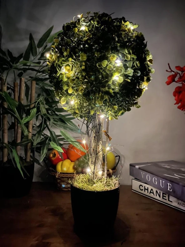 Nettenevime Led Işıklı Şimşir Top Yılbaşı Ağacı Tek Toplu 23cmx45cm Siyah Saksılı ürün görseli 1
