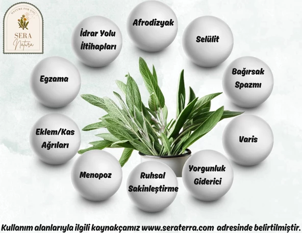 Adaçayı Uçucu Yağı 10 ml. %100 Saf - Resim 5
