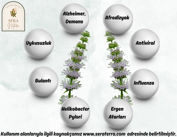 Paçuli Uçucu Yağı 5 ml. %100 Saf - Resim 5