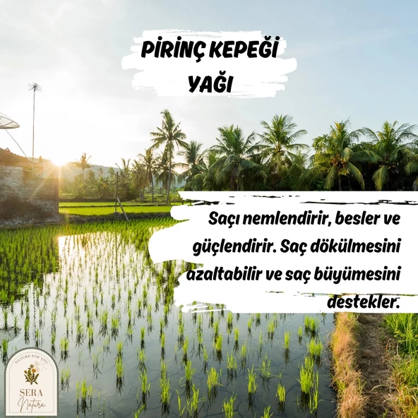 Pirinç Kepeği Yağı 30 ml. %100 Saf - Resim 5