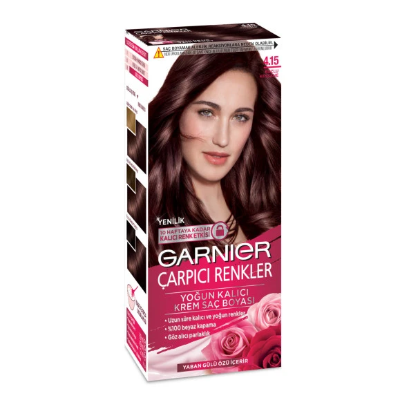 Garnier Çarpıcı Renkler 4.15 Buzlu Kestane - Resim 3