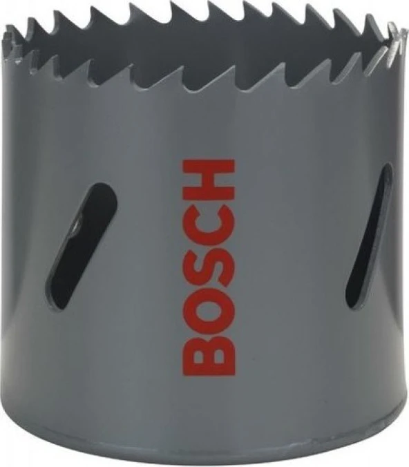 Bosch Bi-Metal Panç 17mm ürün görseli 1