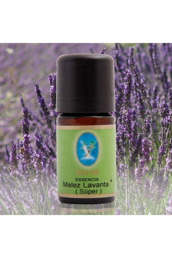 NU-KA DEFNE ESSENCIA Nuka Defne Essencia Geleneksel Melez Lavanta 5 ml Uçucu Yağ Aromaterapi Cilt Ve Bakım Yağı 5ml ürün görseli 1