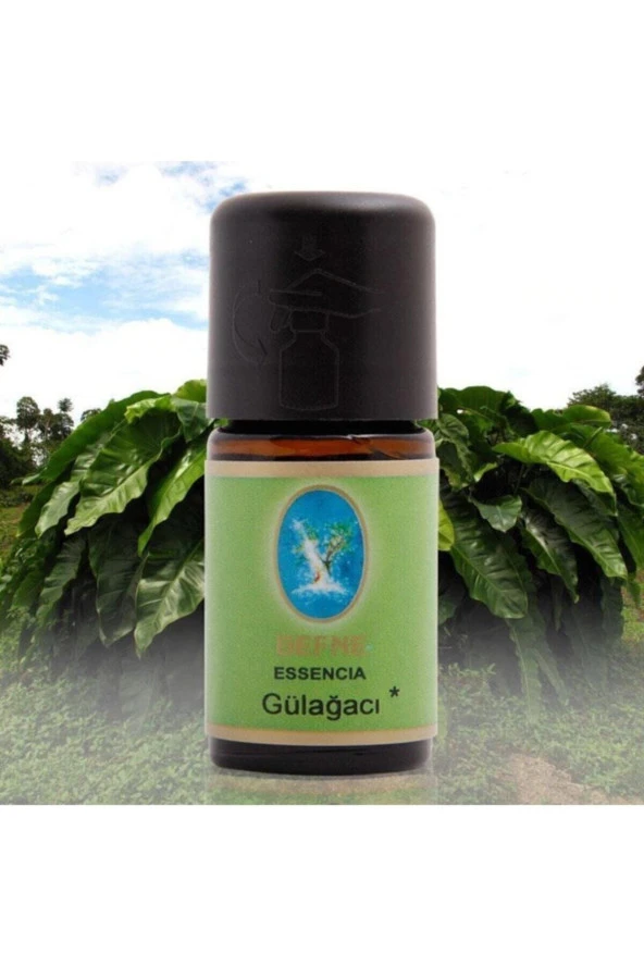 NUKA Defne Essencia Gül Ağacı Yağı 5 ml ürün görseli 1