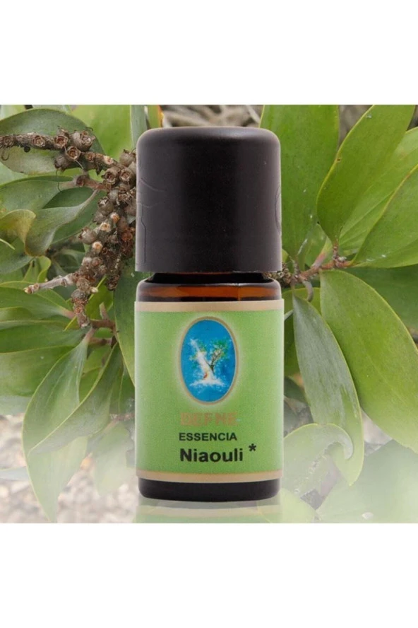 NU-KA DEFNE ESSENCIA Nuka Defne Essencia Organik Niaouli Yağı 10 Ml Aromaterapi Cilt Ve Bakım Yağı ürün görseli 1