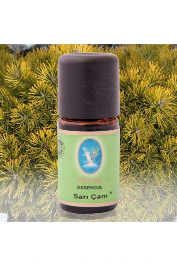 DEFNE Nuka Essencia Sarı Çam Yağı 10 ml ürün görseli 1