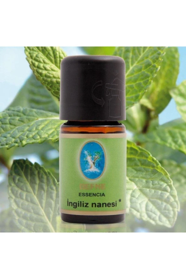 NUKA Defne Essencia Organik Ingiliz Nanesi Yağı 5 Ml Uçucu Yağ ürün görseli 1