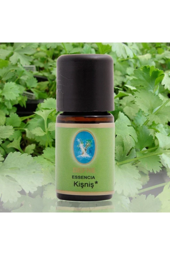 NUKA Defne Defne Essencia Kişniş Yağı 5 ml ürün görseli 1