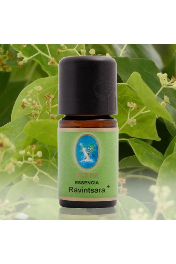 NUKA Defne Essencia Ravintsara Yağı 5 ml ürün görseli 1