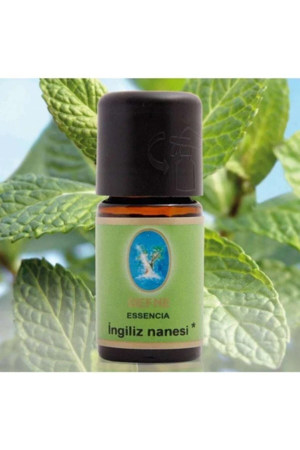 NUKA Ingiliz Nanesi Yağı - 10 ml (ORGANİK) ürün görseli 1