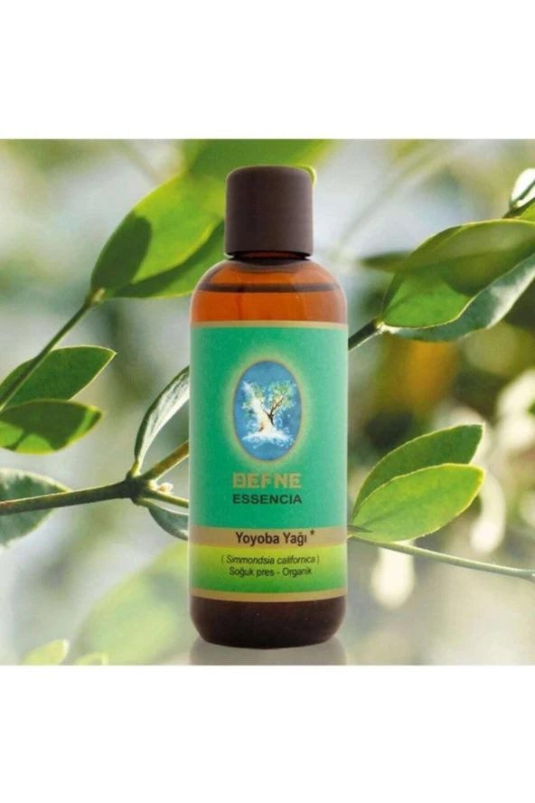 NUKA Organik Yoyoba (JOJOBA) Yağı 30 Ml. (SOĞUK PRES) ürün görseli 1